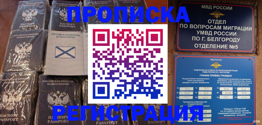 прописка гарантия в Цимлянске